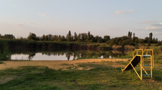 На глазах у отдыхающих на пруду в Воробьевском районе утонул 23-летний парень