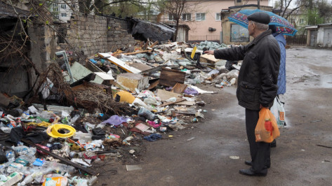 В Воронеже открыли горячую линию для жалоб на мусорные завалы