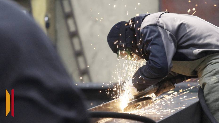 Названы самые востребованные профессии в Воронежской области