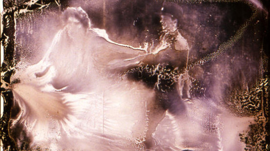 В Воронежском концертном зале слушали музыку из сосновых шишек и текст Конституции, исполненный на фортепиано