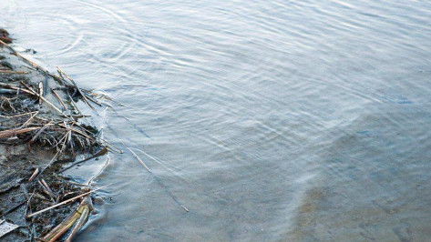 В Воронежской области на реке Битюг утонул рыбак
