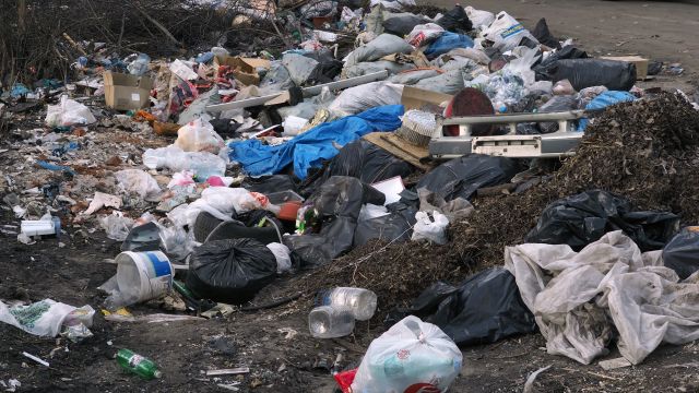 В Воронежской области за 2024 год выявили 9 несанкционированных свалок