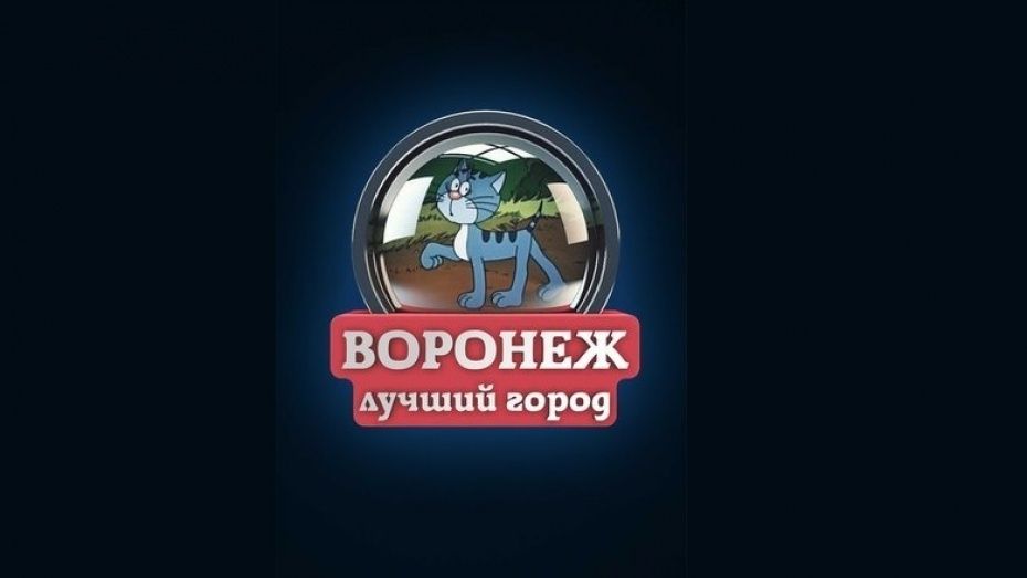 Администрация «ВКонтакте» разблокировала сообщество «Типичный Воронеж»