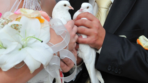 Жители Воронежской области стали реже жениться 