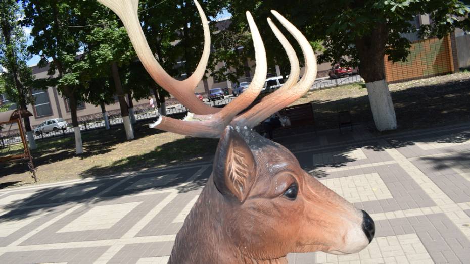 В Борисоглебске неизвестный парень сломал рога декоративному оленю в парке