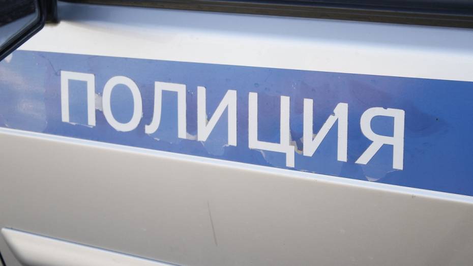 В Воронежской области полицейские помогли пассажирам сломавшегося автобуса