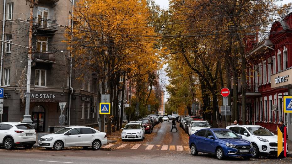 Итоги недели. Что важного произошло в Воронежской области с 6 по 12 октября