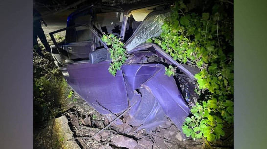В селе Нижний Мамон «семерка» въехала в дерево: пострадал водитель