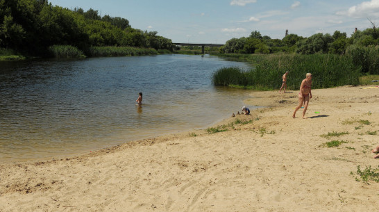 В Воронежской области на пляже для пришкольного лагеря нашли нарушения