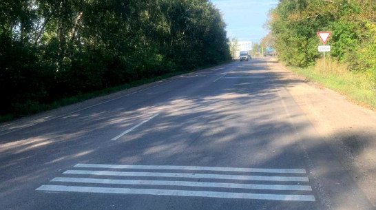 В семи районах Воронежской области появится шумовая разметка