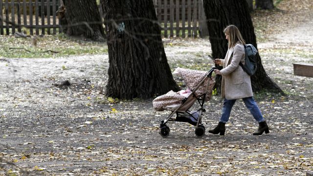 Более 1,2 тыс воронежских матерей получили по 200 тыс рублей за рождение второго ребенка