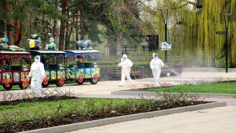 В Воронеже начали обрабатывать парки от клещей и комаров