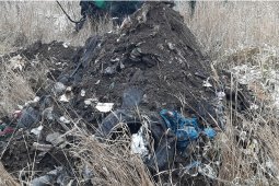 Незаконная свалка нанесла ущерб почвам на 580 млн рублей в Воронежской области