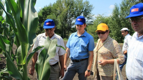 В Новой Усмани прошел сельскохозяйственный семинар, собравший агрономов Центральной России