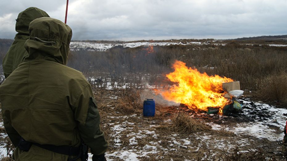 Воронежские наркополицейские сожгли 29 кг наркотиков