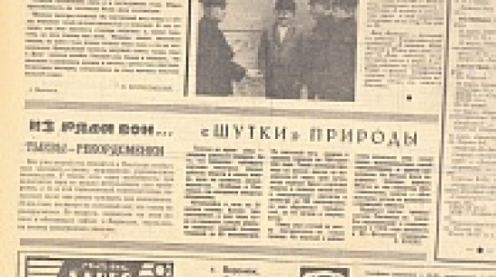 Взгляд из прошлого: война в Чечне, необычные услуги медвытрезвителей и тыква-гигант из Павловска 