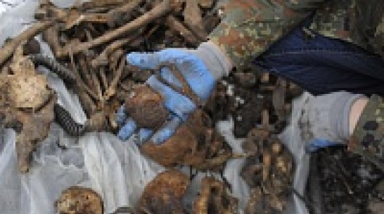 Волгоградские поисковики нашли останки бойца из Воронежской области