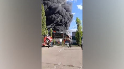 Сильнейший пожар у школы №87 сняли на видео в Воронеже