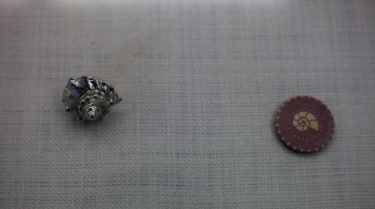 В Воронеже откроется выставка о путешествии Христофора Колумба