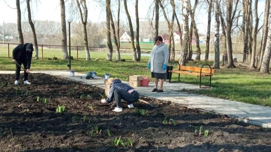 В таловском поселке Казанка высадили 550 цветов у мемориала землякам-фронтовикам