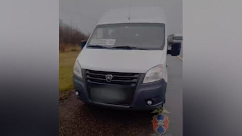 Воронежские госавтоинспекторы пришли на помощь пассажирам сломавшегося рейсового автобуса из Россоши