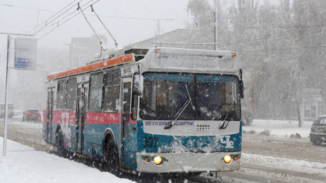 Возобновление троллейбусного маршрута анонсировали в Воронеже