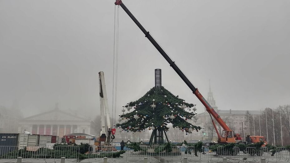 На площади Ленина в Воронеже начали ставить новогоднюю елку