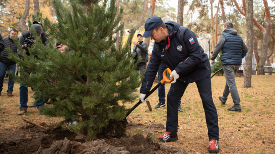 Председатель Воронежской облдумы Юрий Матузов и депутаты регионального парламента приняли участие в общеобластном субботнике