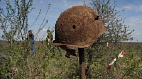 За 10 дней под Воронежем поисковики подняли останки 28 советских солдат и более 400 боеприпасов