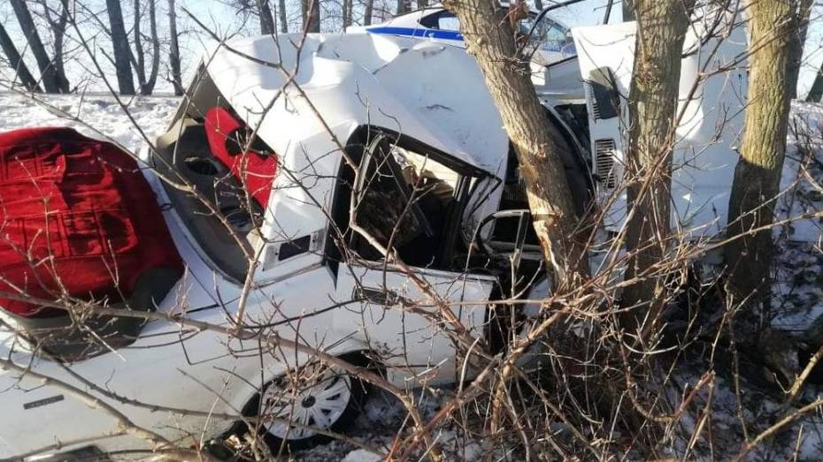 В Павловском районе ВАЗ врезался в дерево: пострадали водитель и пассажир