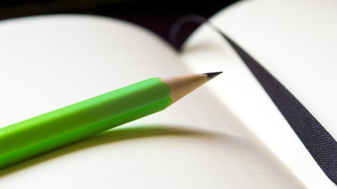 Воронежских художников пригласили к участию в акции «Рисуем дома Замятнина»