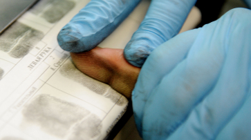 Фейки и мифы о биометрии: воронежцам рассказали, как и зачем собирают данные