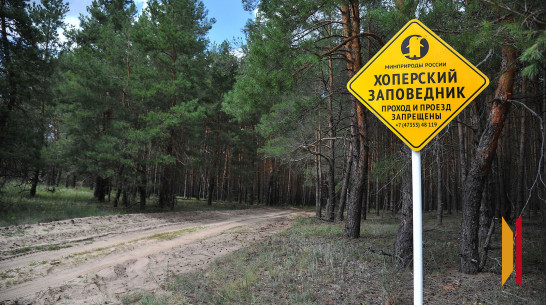 Площадь Хоперского заповедника в Воронежской области станет больше почти на 500 га