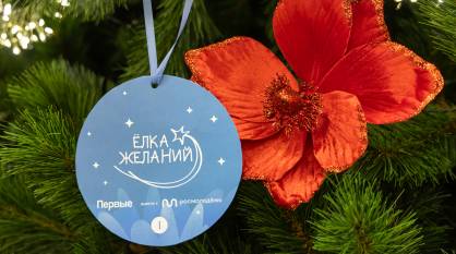 Воронежские министры исполнили детские мечты в рамках акции «Елка желаний»