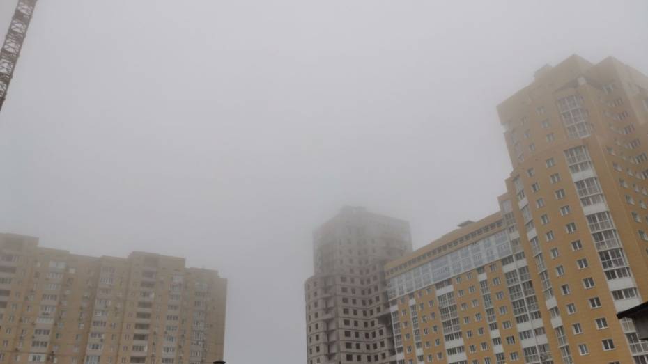 Туман накроет Воронежскую область вечером 10 ноября