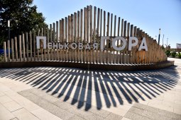 «Точки притяжения»: парк «Пеньковая гора» в Калачеевском районе