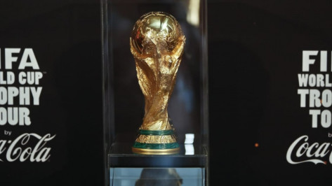 Кубок чемпионата мира по футболу покажут воронежцам 28 и 29 октября
