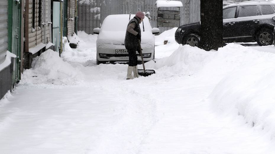 Снегопад завалил Воронеж половиной месячной нормы осадков