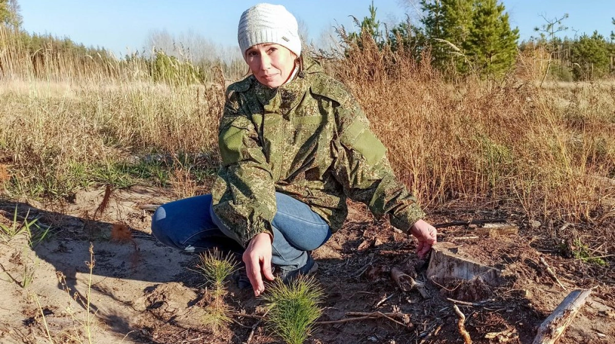 На окраине лискинского села Копанище после 7-летней санитарной рубки  восстановят лес