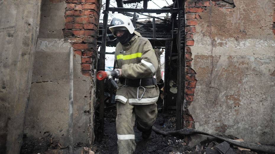 Семь хозяйственных построек уничтожил пожар в Воронеже