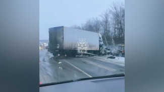Воронежцам рассказали подробности смертельного лобового ДТП с микроавтобусом и грузовиком