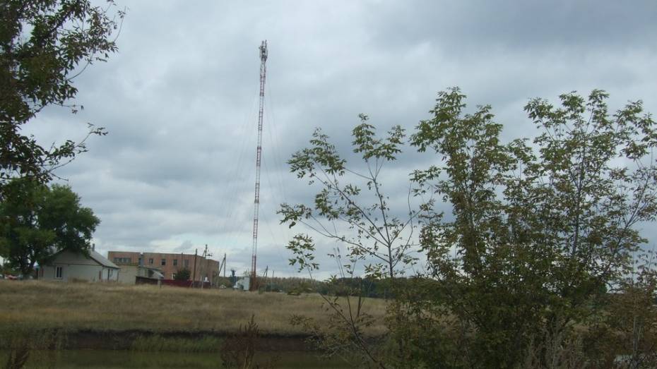 В Таловском районе открыли 2 вышки сотовой связи