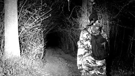 Тело пропавшей женщины обнаружили в болоте под Воронежем