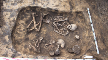 В Воронежской области археологи нашли 28 древних погребений