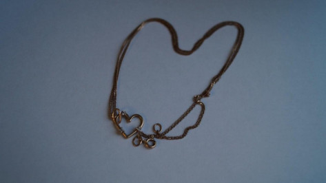 В Воронежской области вор-рецедивист принял старинный кулон за бижутерию