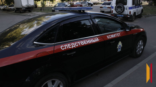 Дошло до суда дело об изнасиловании и зверском убийстве в Нововоронеже в 2012 году