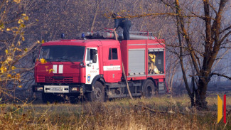 В Воронежской области начал действовать особый противопожарный режим