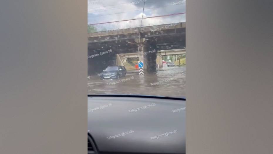 В Воронеже улицу Землячки затопило после дождя