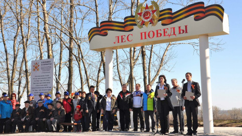 В Бутурлиновском районе завершилась акция «Лес Победы»