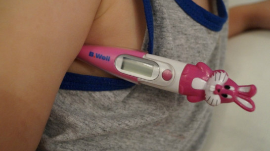 В Воронеже еще одна школа закрылась на карантин по гриппу 